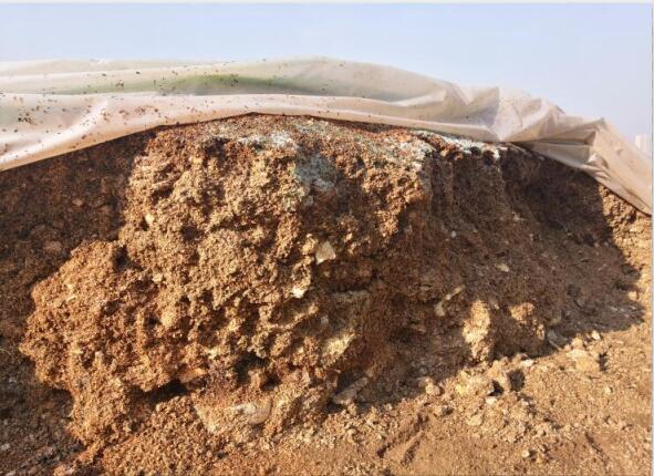 “廢料”變“肥料”，蘑菇包在土壤改良中的應(yīng)用