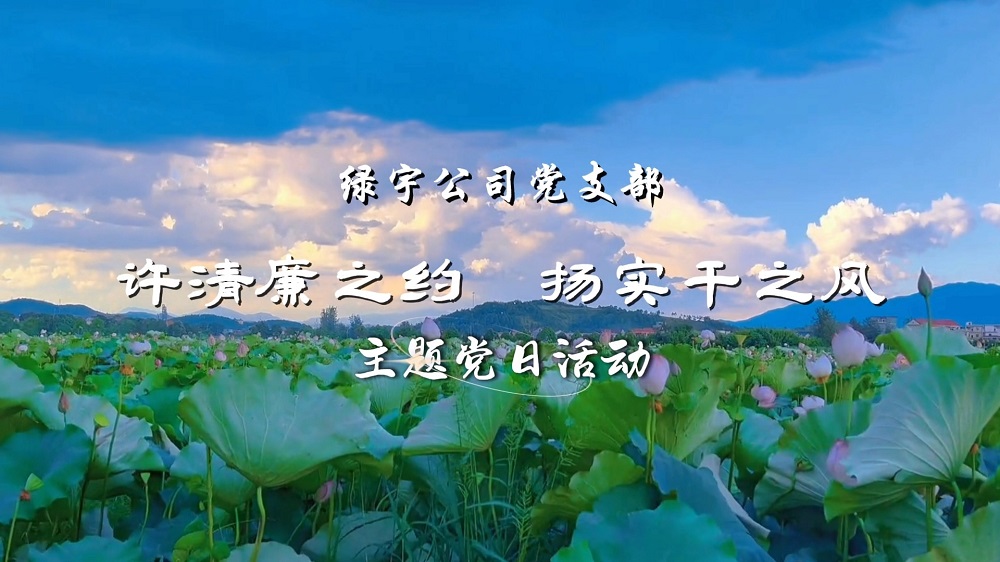 許清廉之約  揚(yáng)實干之風(fēng)——綠宇公司黨支部主題黨日活動